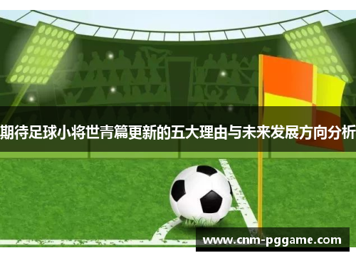 期待足球小将世青篇更新的五大理由与未来发展方向分析