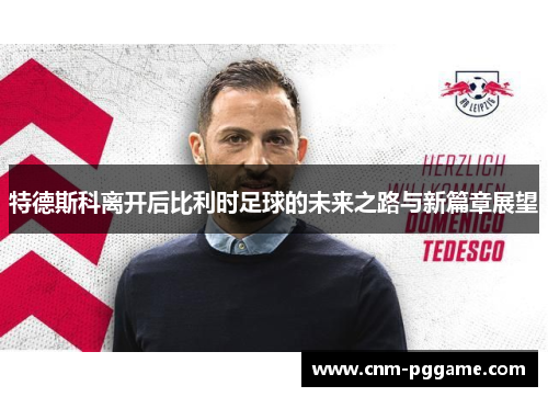特德斯科离开后比利时足球的未来之路与新篇章展望
