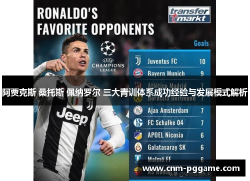 阿贾克斯 桑托斯 佩纳罗尔 三大青训体系成功经验与发展模式解析