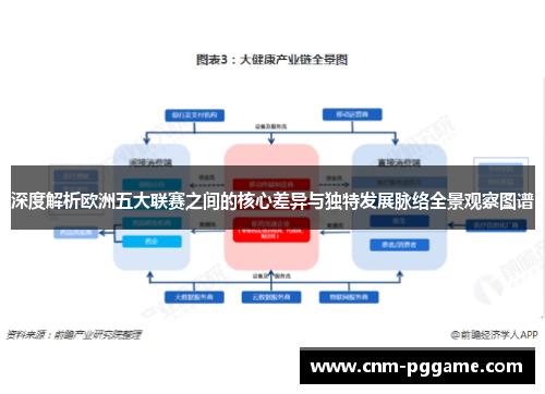 深度解析欧洲五大联赛之间的核心差异与独特发展脉络全景观察图谱