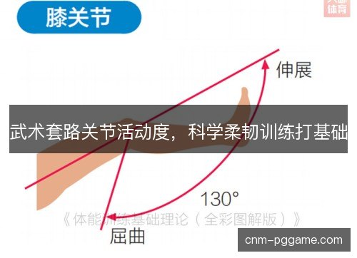 武术套路关节活动度，科学柔韧训练打基础